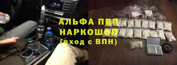 a pvp Бородино