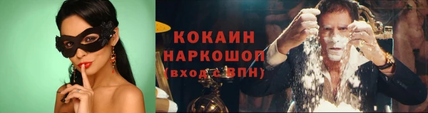a pvp Бородино