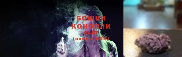 a pvp Бородино