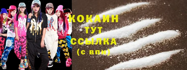 ГАЛЛЮЦИНОГЕННЫЕ ГРИБЫ Новозыбков