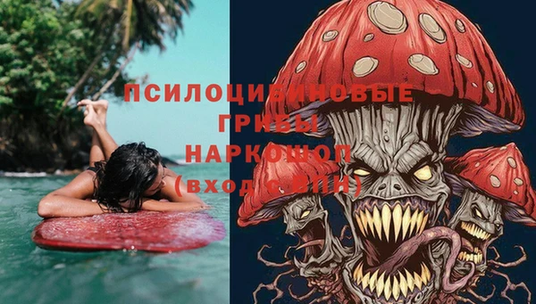 a pvp Бородино