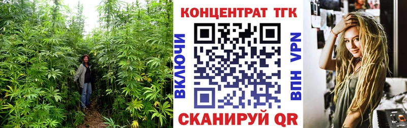 omg tor  сколько стоит  Северо-Курильск  Дистиллят ТГК жижа 