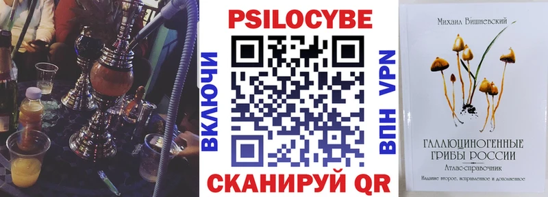 маркетплейс официальный сайт  Северо-Курильск  Псилоцибиновые грибы Cubensis 